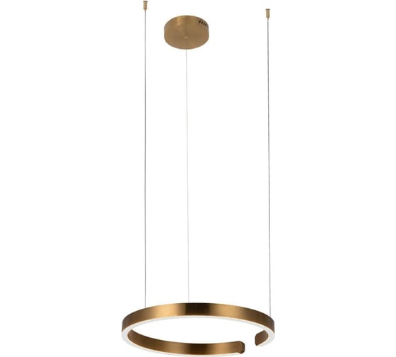 Подвесной светильник LOFT IT Ring 10013M 1
