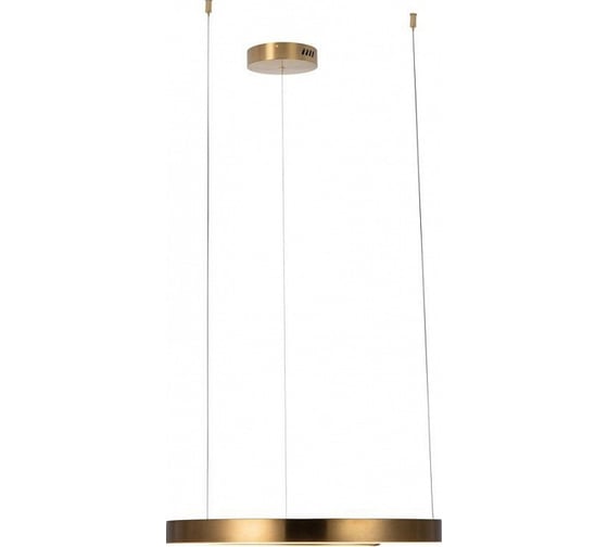 Подвесной светильник LOFT IT Ring 10013M