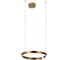 Подвесной светильник LOFT IT Ring 10013M 1