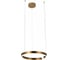 Подвесной светильник LOFT IT Ring 10013M 2