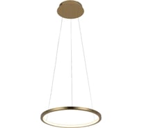 Подвесной светильник LOFT IT Ring 10014S
