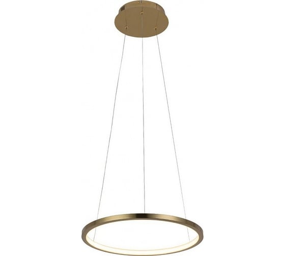 Подвесной светильник LOFT IT Ring 10014S