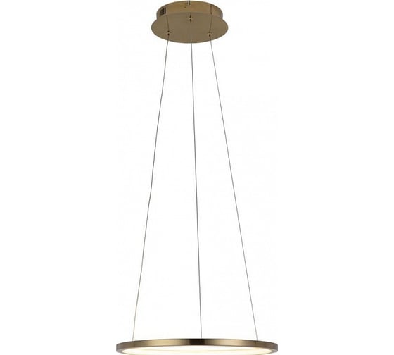 Подвесной светильник LOFT IT Ring 10014S