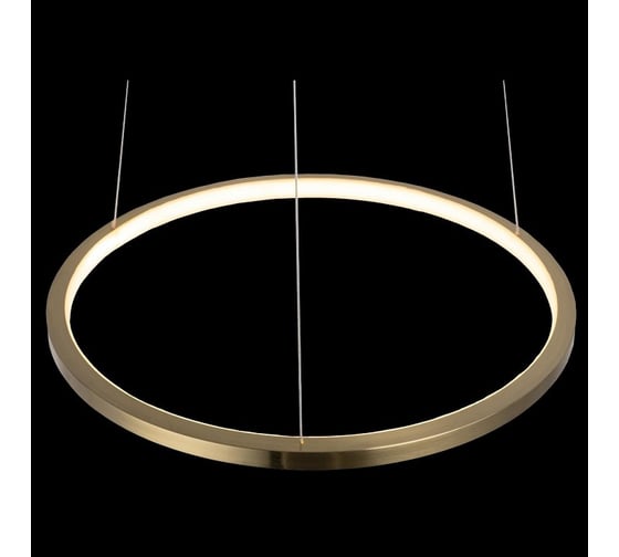 Подвесной светильник LOFT IT Ring 10014S