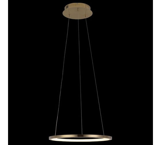 Подвесной светильник LOFT IT Ring 10014S