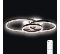 Потолочная светодиодная диммируемая люстра RITTER ECLIPSE с ДУ 3 режима 100Вт 25м2 белый/коричневый 52083 6