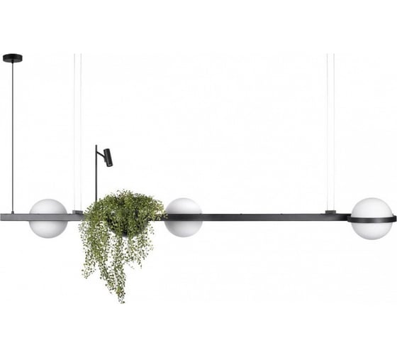Подвесной светильник LOFT IT Jardin 10121/C