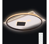 Потолочная светодиодная диммируемая люстра RITTER PENSATA с ДУ 3 режима 100Вт 42м2 белый/черный 52308 0