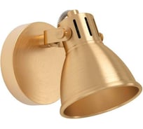 Спот Eglo SERAS 900169