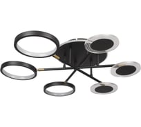 Потолочная люстра LOFT IT Megan 10164S Black
