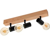 Спот Eglo TOWNSHEND 3 98113