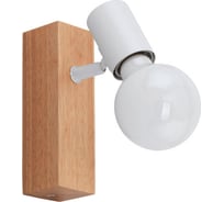 Спот Eglo TOWNSHEND 3 33168