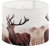 Текстильный плафон Eglo ПРОМО 1+1 VINTAGE 49863