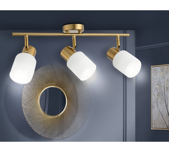 Спот Ambrella Light TRADITIONAL TR3972