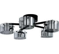 Потолочная люстра EGLO COPILLOS 39874