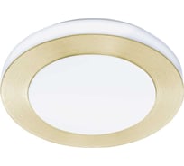 Накладной светильник EGLO LED CARPI 900369