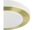 Накладной светильник EGLO LED CARPI 900369 2