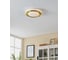 Накладной светильник EGLO LED CARPI 900369 4