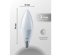 Светодиодная лампа Navigator 94 482 NLL-P-C37-5-230-4K-E14-FR 94482