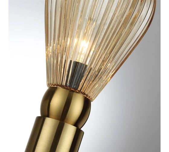 Настольная лампа ODEON LIGHT E14 40W Elica 5402_1T