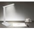 Настольная офисная лампа Ambrella Light DESK DE502 2