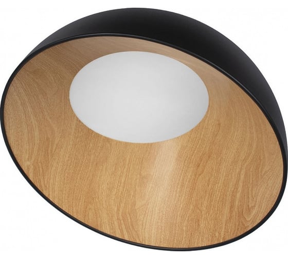 Накладной светильник LOFT IT Egg 10197/500 Black