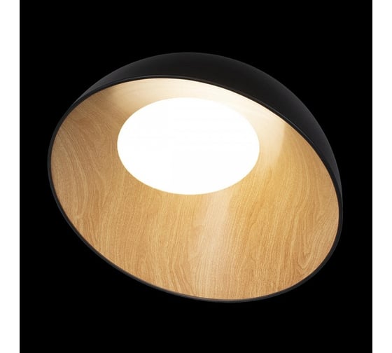 Накладной светильник LOFT IT Egg 10197/500 Black