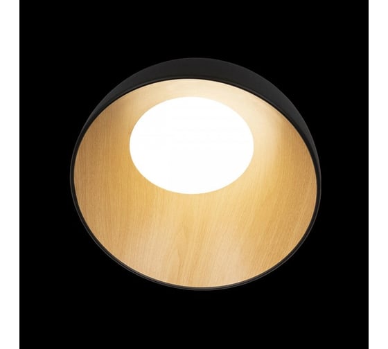 Накладной светильник LOFT IT Egg 10197/350 Black