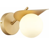 Бра Evoluce BOLZANO SLE220501-01