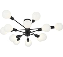 Люстра на штанге Evoluce ANO SL419.402.12