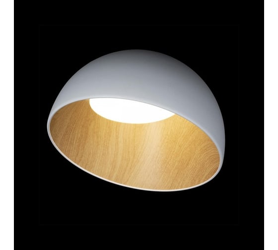 Накладной светильник LOFT IT Egg 10197/350 White