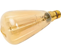 Лампа накаливания LOFT IT Edison Bulb 4860-F