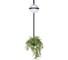 Бра LOFT IT Jardin 10121W/B 1
