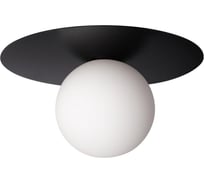 Накладной светильник LOFT IT Ufo 10120/250C Black
