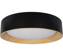 Накладной светильник LOFT IT Coin 10202 Black