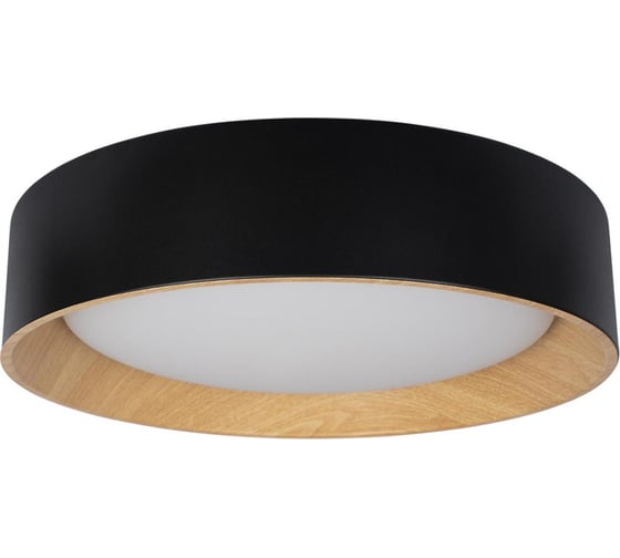 Накладной светильник LOFT IT Coin 10202 Black