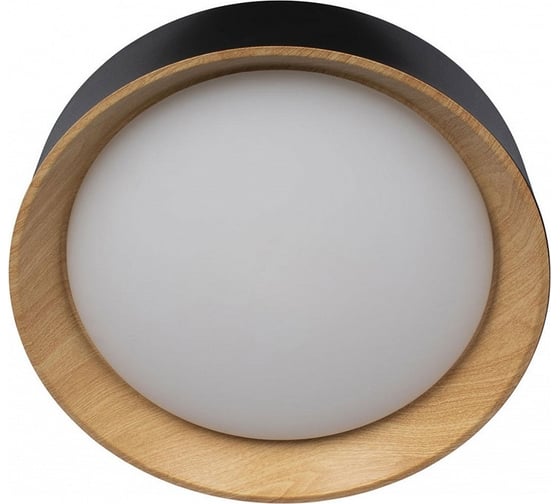Накладной светильник LOFT IT Coin 10202 Black