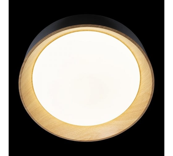 Накладной светильник LOFT IT Coin 10202 Black
