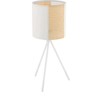 Настольная декоративная лампа Eglo ПРОМО ARNHEM 43555