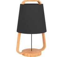 Настольная декоративная лампа Eglo CAMALOZA 390187