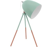 Настольная декоративная лампа Eglo DUNDEE 49337