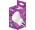 Лампа светодиодная RITTER LED R63 E27 8Вт 2700K, 32336 5 5