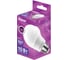 Лампа светодиодная RITTER LED A60 E27 10Вт 4000K, 32267 2 5
