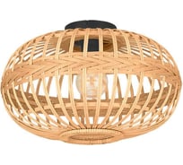 Накладной светильник Eglo AMSFIELD 43723