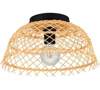 Накладной светильник Eglo AUSNBY 43831