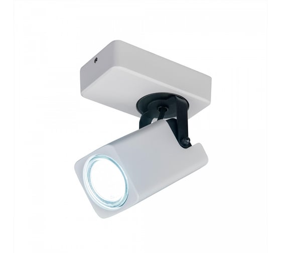 Поворотный спот Citilux Норман Белый CL533610 1