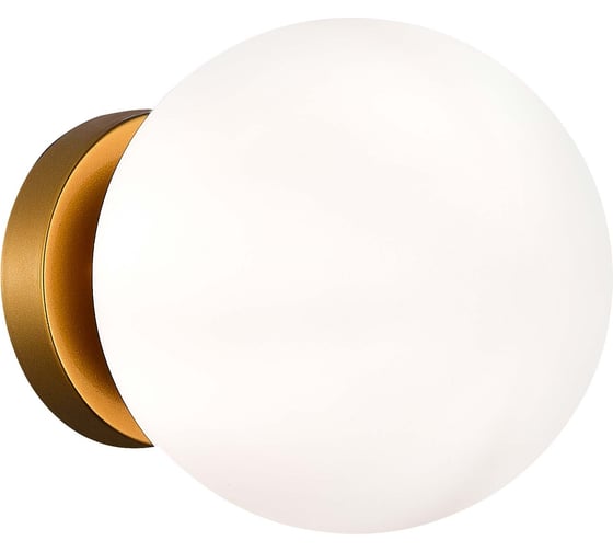 Накладной светильник Evoluce ACINI SL717.201.01 1