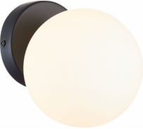 Накладной светильник Evoluce ARCOLA SLE220101-01