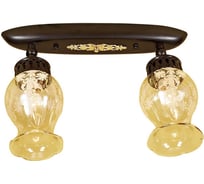 Светильник с поворотными плафонами Citilux Метафора CL413121