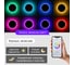 Умная подвесная люстра Citilux Неон Смарт RGB Белая CL731A090E 26